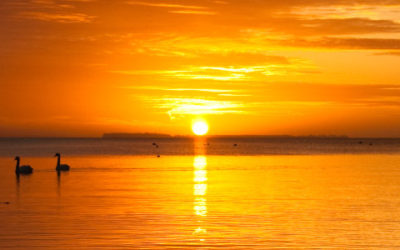 Unbegreifbares Begreifen