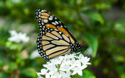 Dit liv er enormt vigtigt